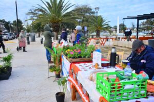 504377062_1152565200244310_2122351451742236488_n