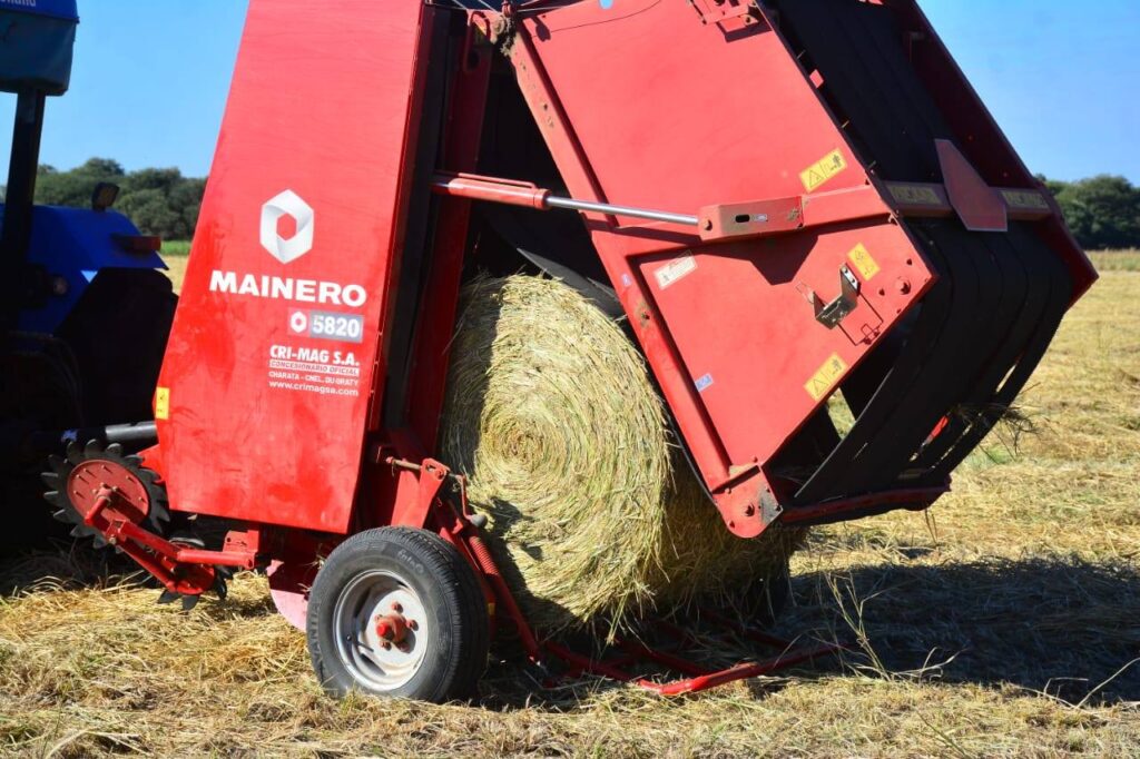 514343869_1159984149502415_6390792616014411917_n