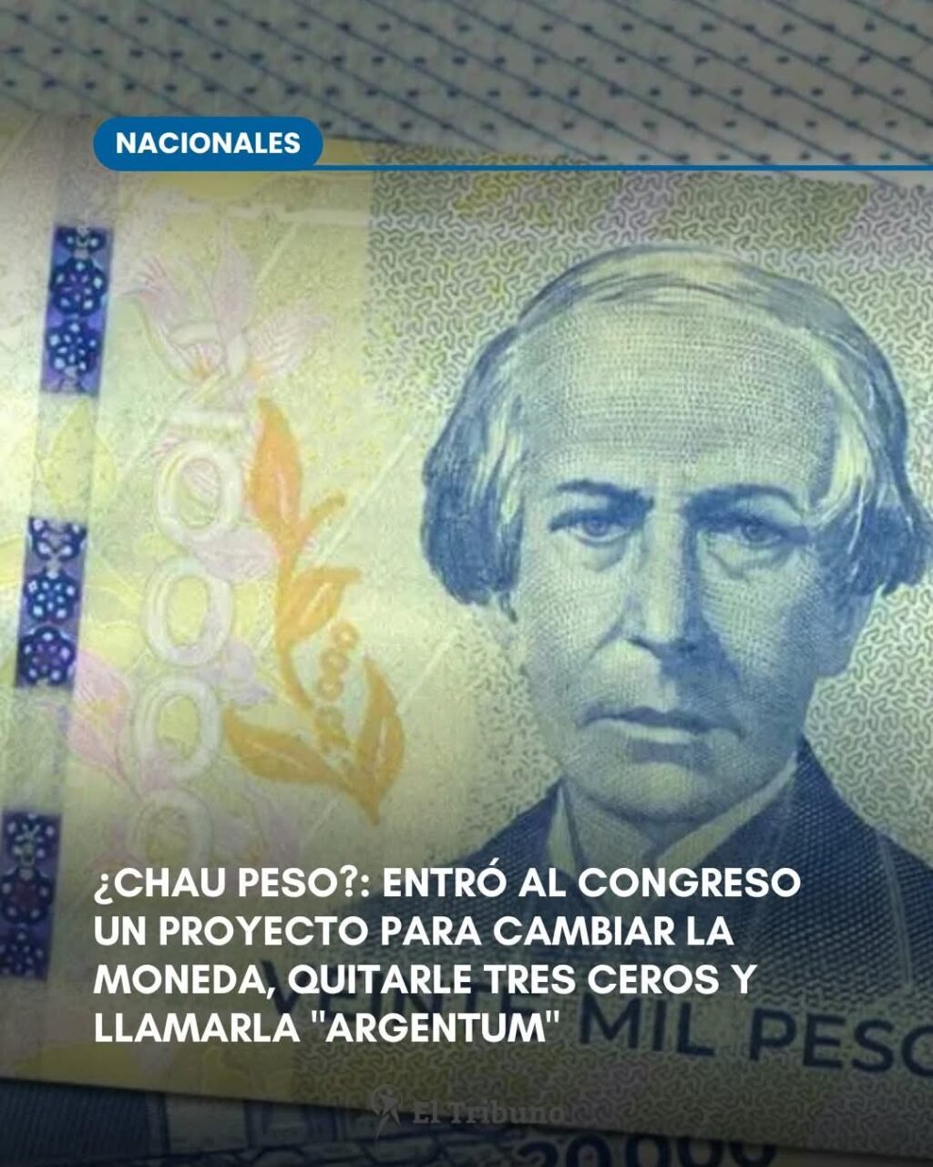 514711077_4188627124796245_8264802121010115109_n