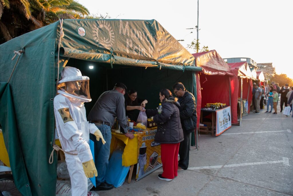 WhatsApp Image 2025-07-21 at 08.49.10 (1)