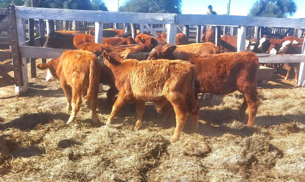 f18cac32-f6fc-4513-91c2-42f21bc91a8a