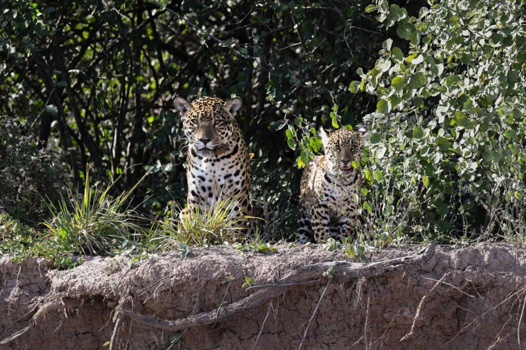 515503716_1329830735810100_8740368669571301538_n