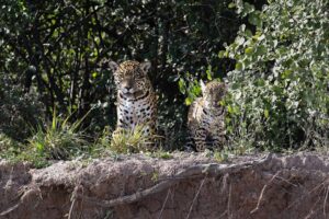 515503716_1329830735810100_8740368669571301538_n