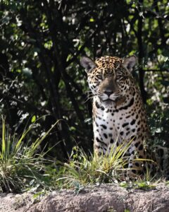 529664416_18400599160186407_7573197019759454355_n