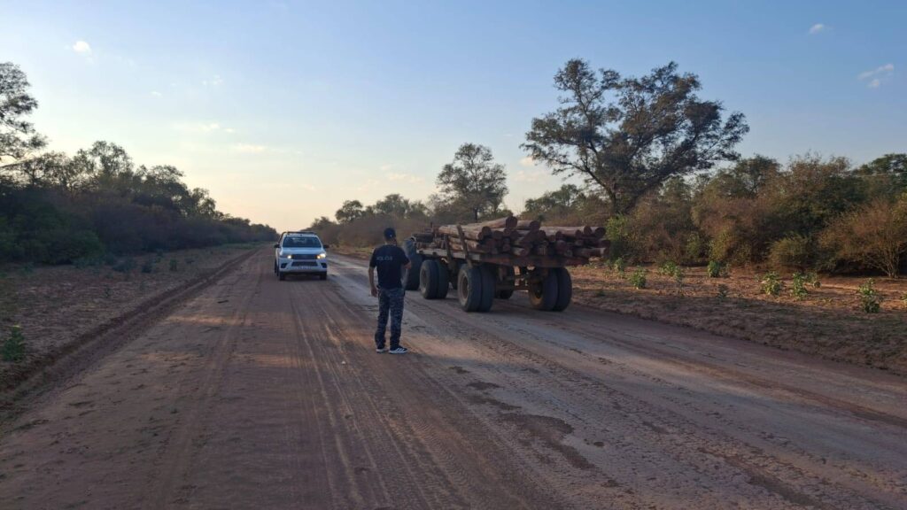 533207810_1339580528168454_7762667678595758943_n