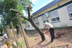 536272783_1192852642882232_4168717929621411286_n