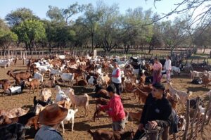 703098d8-cef7-401d-bed8-e4878ff34207