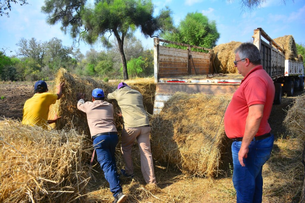 549368392_1218607566973406_8866423182309141353_n