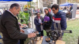 thumbnail_1001901893