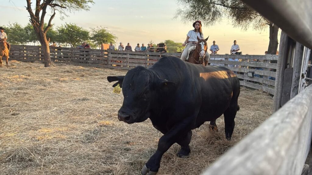 2fe2e5fe-7dfe-4690-b0e3-5f53717e3888