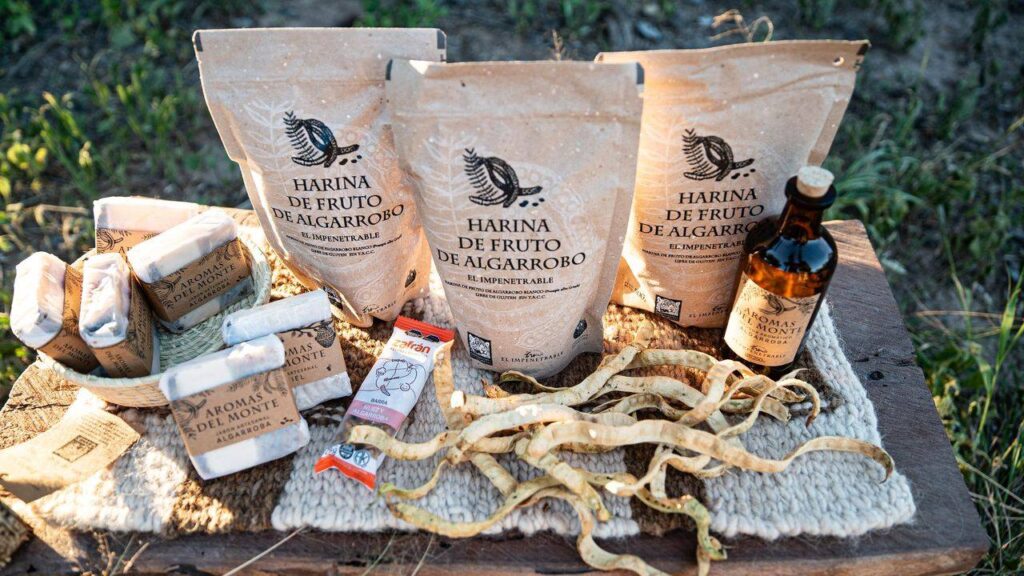 565880055_4301786350146988_3741427429493211316_n