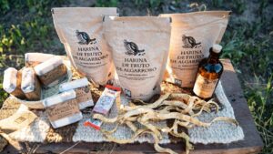 565880055_4301786350146988_3741427429493211316_n