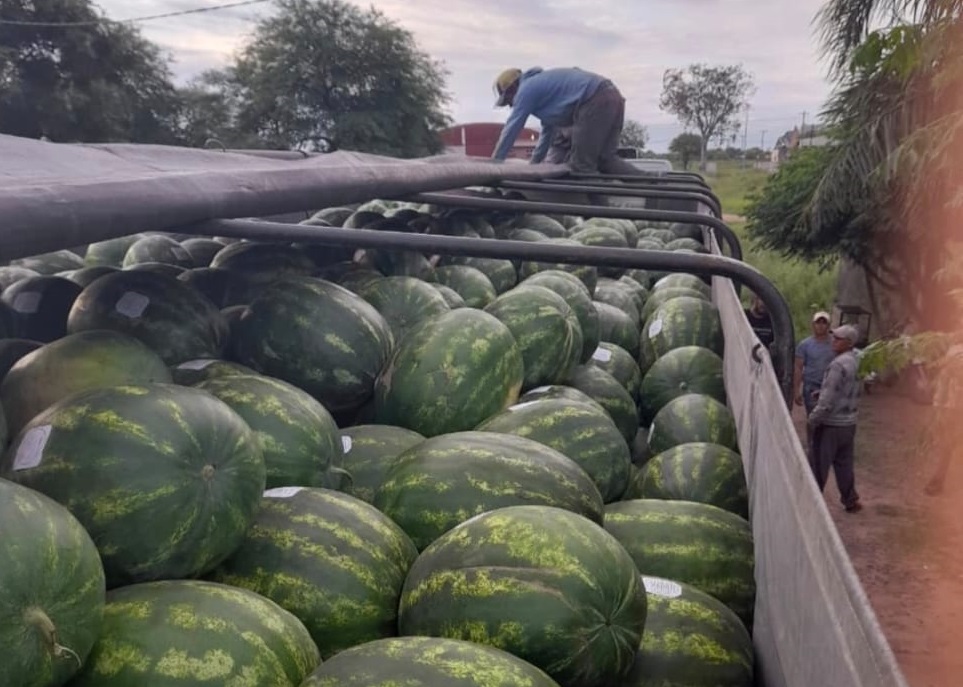 b22b7d72-1a93-4aba-be01-306a206b17bc