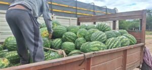 65e152e8-a0e4-43ab-991d-662f8ddbc402