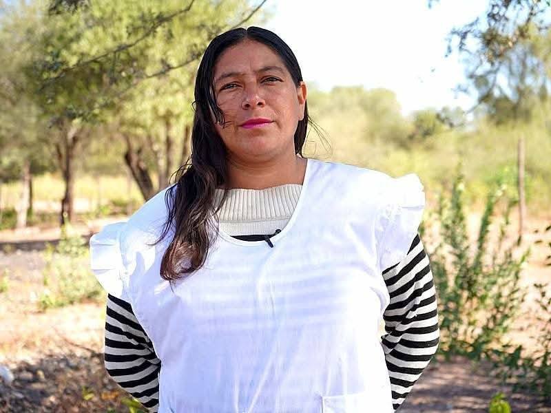 601499596_1675030343471998_1361763019951553873_n