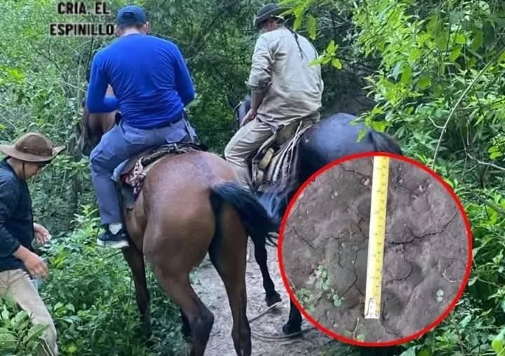 610905107_1493312559387893_8852780529140003380_n