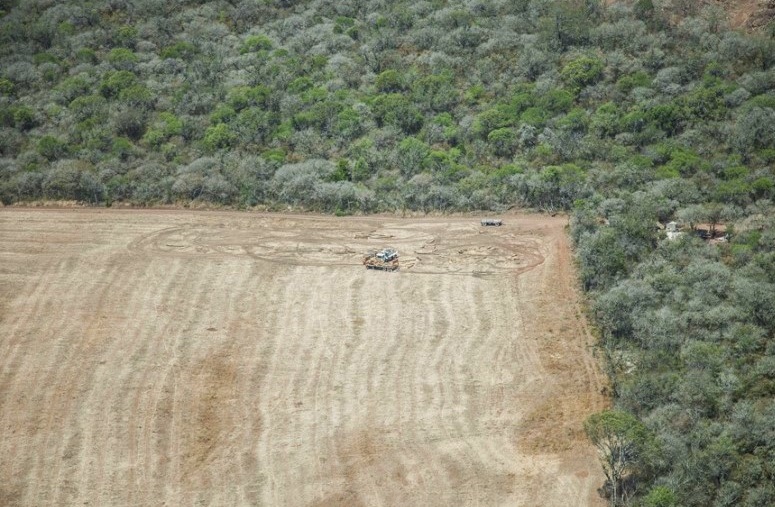 DESMONTES-ILEGALES-1