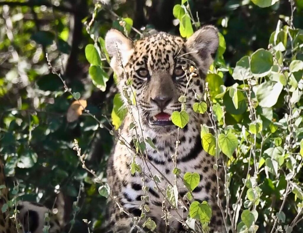 629396867_1434936248643337_1674020822860299917_n