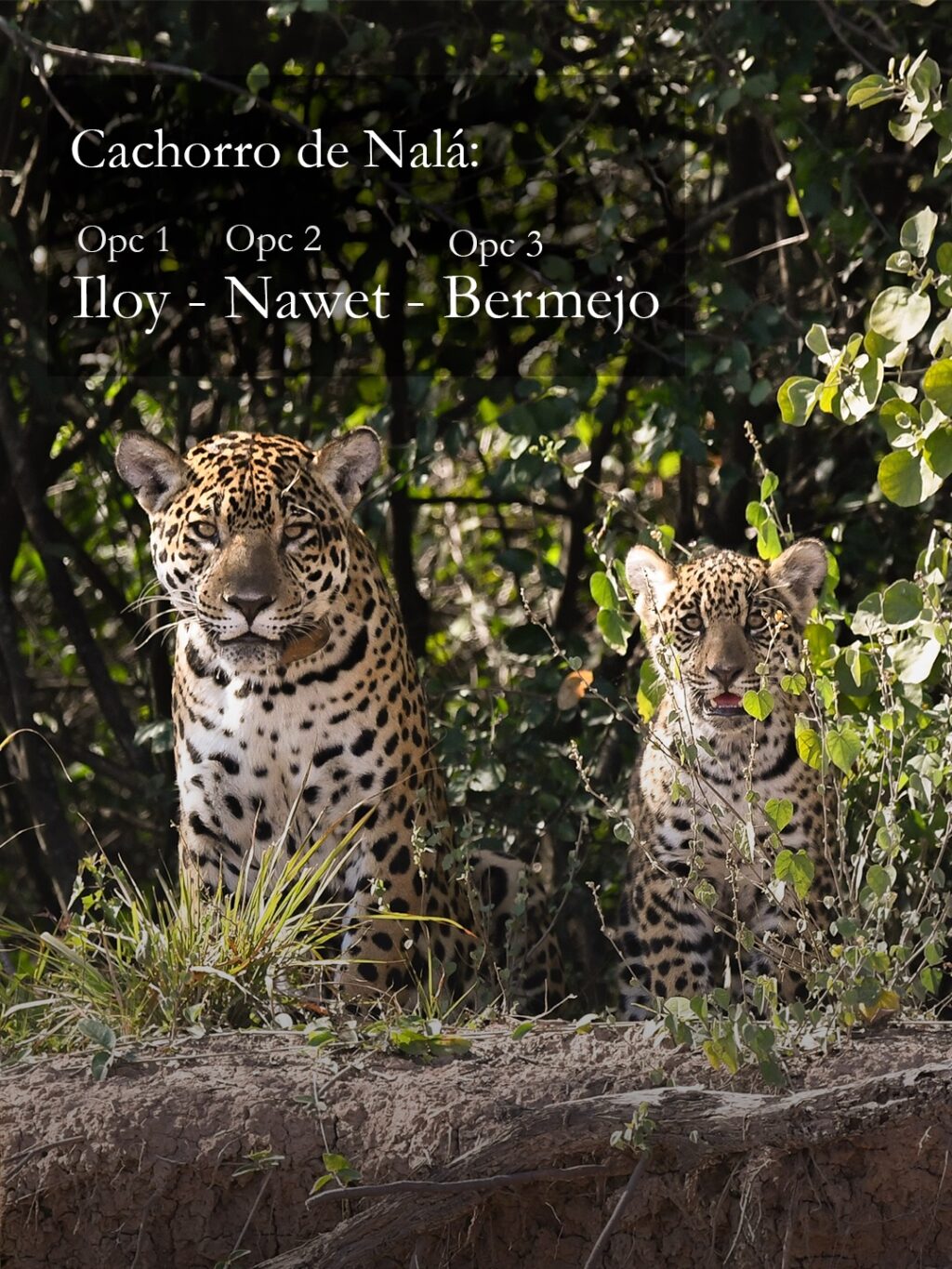 629669482_18428732509186407_6957533400915993532_n