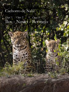 629669482_18428732509186407_6957533400915993532_n