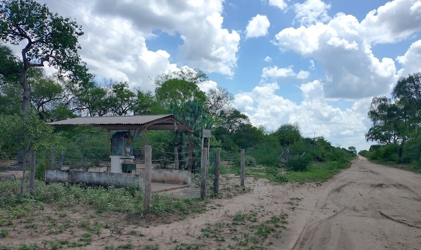 IMG_20241104_134643178_HDR