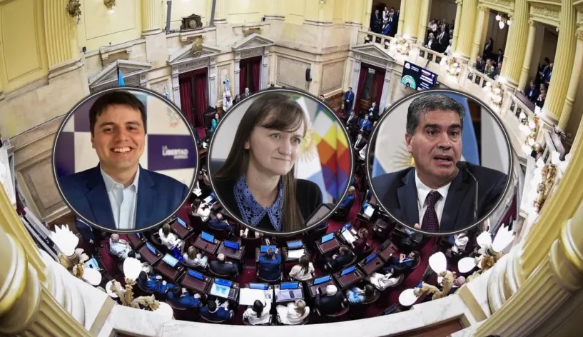 senadores chaqueños