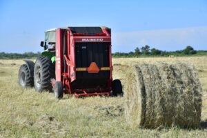 646373563_1355989229901905_53695666248994517_n