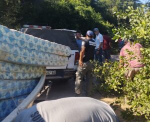 65064a83-726f-4e13-ace6-4f63cace654a