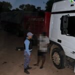 Comandancia Frías: Incautan más de 300 postes de quebracho colorado