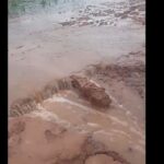 Comerciantes de El Sauzalito advierten que ya se siente el desabastecimiento