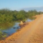 Desde Fortín Belgrano piden aistencia urgente al Gobierno Provincial