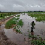 La lluvia que la región esperaba