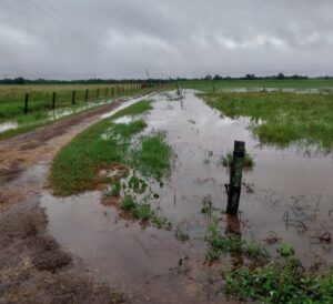 1700d496-3d9e-4ab7-9c52-37e912b0a062