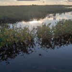 Un informe revela la dramática situación del sector productivo por las inundaciones