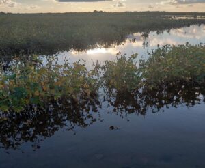 64c56fb8-955f-416a-801b-64ebc8128fea