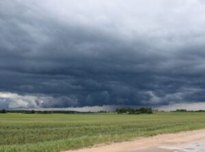 64e74bf2b7f45_768_575!