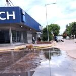Castelli: Una jubilada fue a cobrar su sueldo, pero en el banco le habían dado de baja por defunción