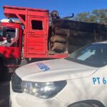 Castelli: incautan un camión con 7 mil kilos de madera de algarrobo