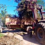 Intenso operativo de limpieza en el barrio Güemes