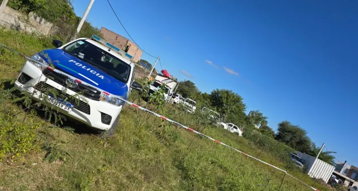 poliales