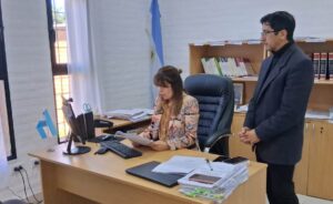 descarga (1)