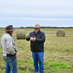Producción: más reservas forrajeras para acompañar al productor de Castelli