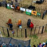 Premios, ventas y genética: las cabañas reafirmaron el potencial ganadero en Agronea 2026