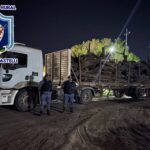 La Policía Rural de Castelli incautó un cargamento de leña sin  documentación