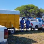 Investigan la muerte de dos caballos en una carrera cuadrera  en Tres Isletas