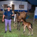 La Policía Rural intervino en un caso de maltrato animal en Tres Isletas